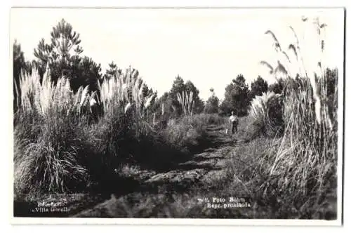 Fotografie Böhm, Ansicht Villa Gesell / Argentinien, Herr auf dem Weg zum Strand