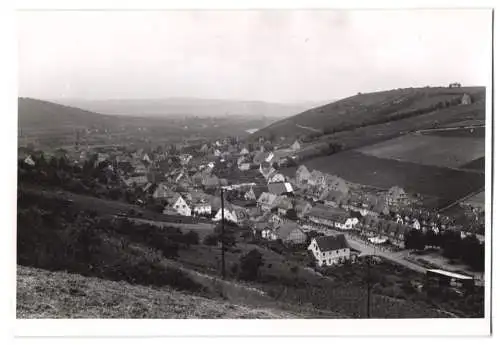 Fotografie unbekannter Fotograf, Ansicht Randersacker, Panorama der Ortschaft