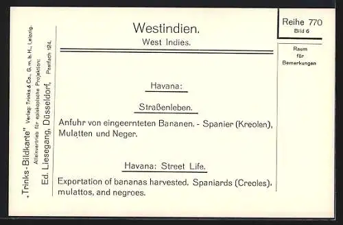 AK Westindien, Anfuhr von eingeernteten Bananen, Ochsengespann