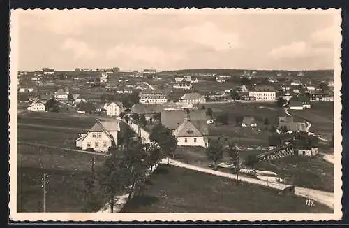 AK Zinnwald i. Erzgeb., Ortspanorama