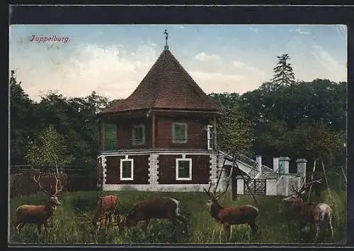 AK Kosten, Jagdschlösschen Tuppelburg