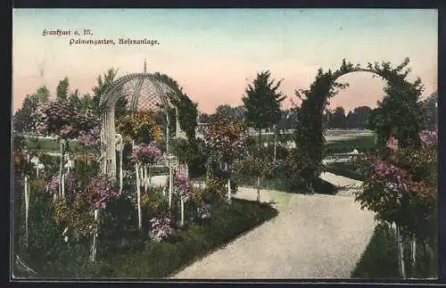 AK Frankfurt-Westend, Palmengarten und Rosenanlage