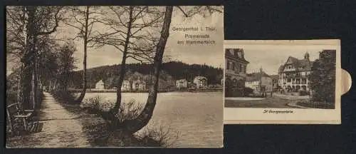 Zugbild-AK Georgenthal i. Thür., Promenade am Hammerteich, St. Georgenplatz