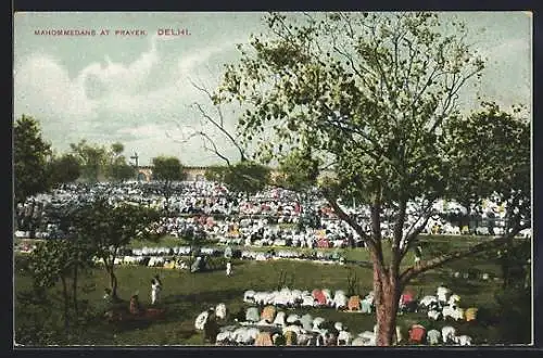 AK Delhi, Mahommedans at Prayer