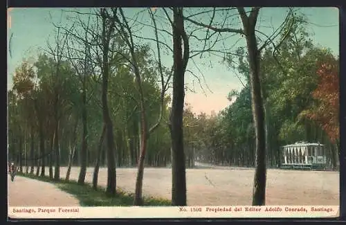 AK Santiago, Parque Forestal, Strassenbahn