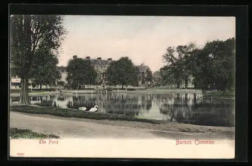 AK Barnes, The Pond, Barnes Common