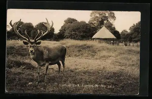 AK London, Clissold Park