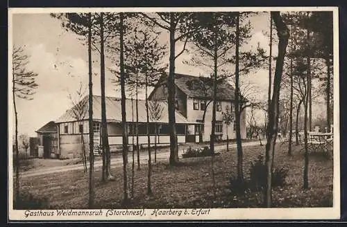 AK Haarberg b. Erfurt, Gasthaus Weidmannsruh (Storchnest)