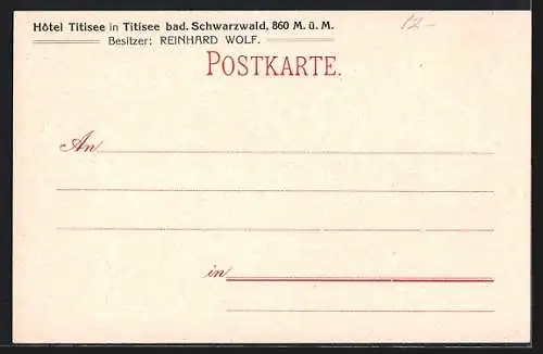 Lithographie Titisee, Hotel Titisee, Bes. A. Faller-Eigler