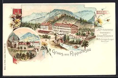 Lithographie Bad Rippoldsau, Gasthaus zum Erbprinzen aus der Vogelschau