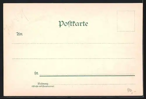 Lithographie Wernigerode, Totale mit dem Schloss, Ferienheim und Steinerne Renne