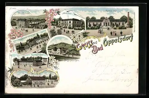 Lithographie Bad Oppelsdorf, Hotel Curhaus, Albert-Bad, Bergschlösschen