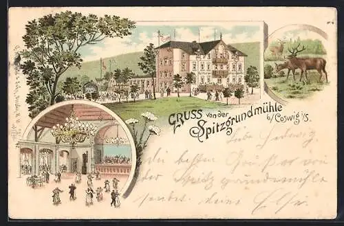 Lithographie Spitzgrundmühle b. Coswig, Restaurant Spitzgrundmühle, Innenansicht