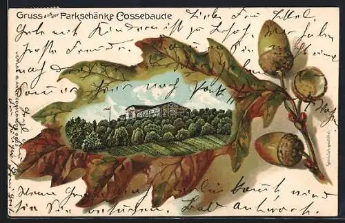 Passepartout-Lithographie Cossebaude, Gasthof Parkschänke im Eichenblatt