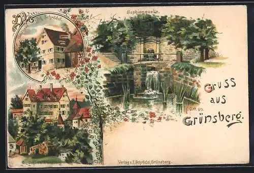 Lithographie Grünsberg, Gasthof von Joh. Schrödel, Sophienquelle, Schloss