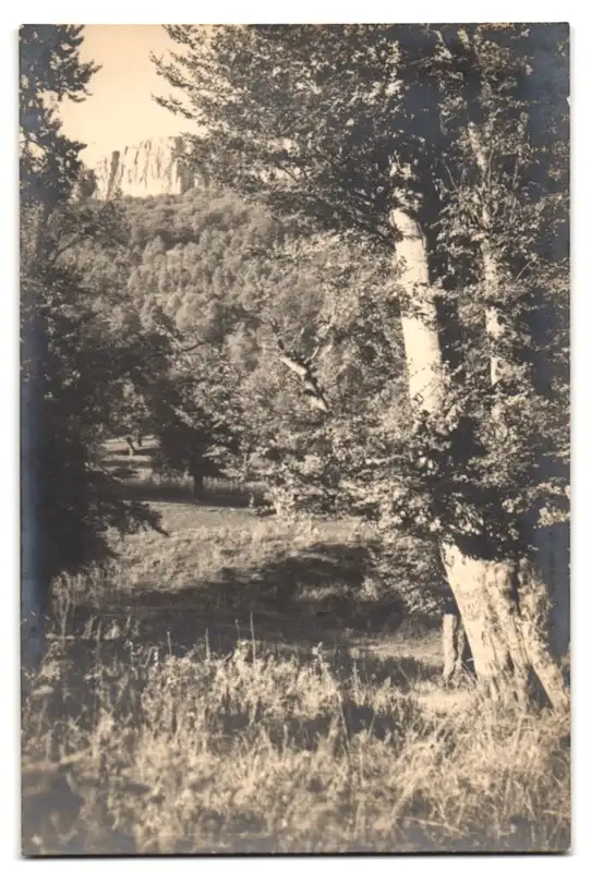 21 Fotografien unbekannter Fotograf, Ansicht Kovacevac, Kohle Bergbau, Bergleute am Schacht, Seilbahn für Kohletransport 18