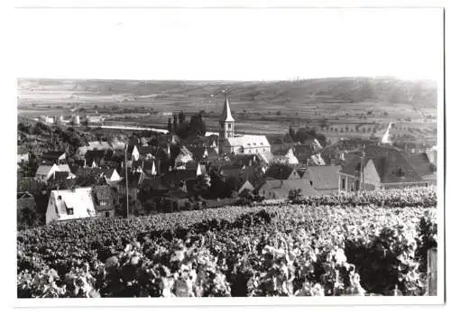 Fotografie unbekannter Fotograf, Ansicht Randersacker, Blick vom Weinberg in den Ort