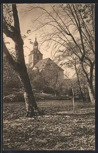 AK Molsdorf, Blick auf die Kirche