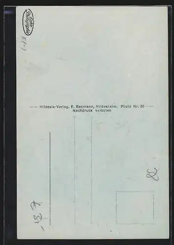 AK Braunschweig, Flohwinkel mit Geschäft von Carl Tonepöhl