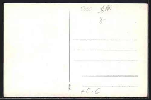 AK Köln, Geschäft Adolf Salberg, Hohe Strasse 81 oder 141