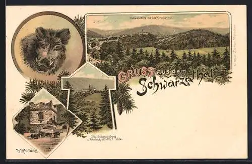 Lithographie Schwarzburg /Schwarzathal, Panorama mit der Hirschwiese, Die Schwarzburg von Friedrich-Günther Sitz