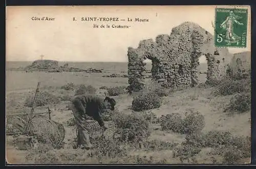 AK Saint-Tropez, La Moutte, Ile de la Croizette