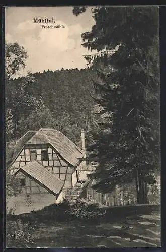 AK Mühltal / Eisenberg, Froschmühle