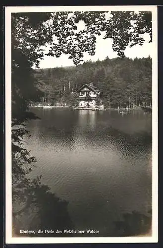 AK Ebnisee, Waldpartie mit Panoramaablick