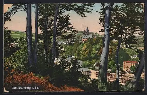 AK Schwarzenberg i. Sa., Ortspartie mit Bäumen