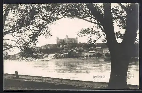 AK Bratislava, Panorama