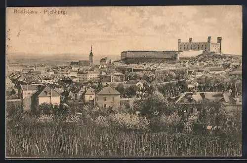 AK Pressburg, Panorama mit Schloss