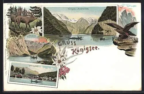 Lithographie Königsee, Panorama vom Malerwinkel aus, Landungsplatz, Obersee m. Teufelshörnern, Adler, Hirsch