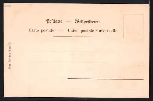 Lithographie Konstanz, Insel Hotel vom Garten aus, Münster, Rheinbrücke, Kreuzgang