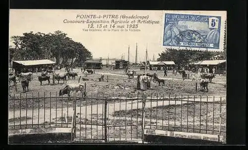 AK Pointe-a-Pirte, Concours-Exposition Agricole et Artistique 1923