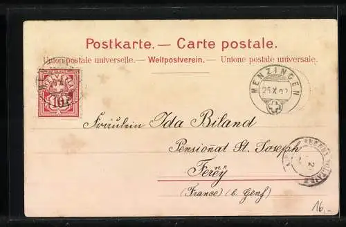 Lithographie Menzingen, Institut Menzingen, Panorama