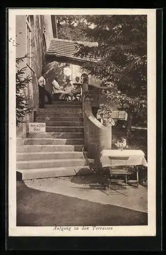 AK Seidenberger Grund /O. L., Gasthof Zur Grundschänke, Bes. M. Hartmann, Aufgang zur Terrasse