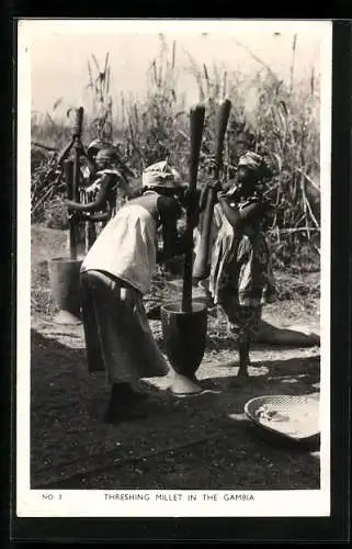 AK Gambia, Threshing Millet