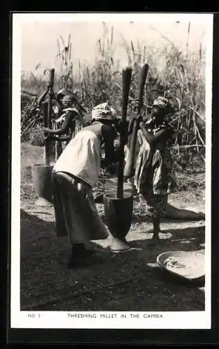 AK Gambia, Threshing Millet