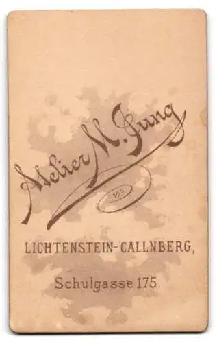 Fotografie M. Jung, Lichtenstein-Callnberg, Schulgasse 175, Porträt eines jungen Mannes