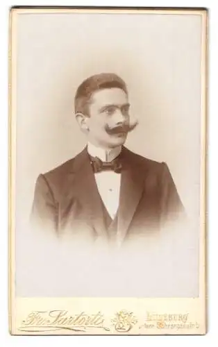 Fotografie Fr. Sartorti, Lüneburg, untere Schrangenstr. 5, Eleganter Herr mit markantem Schnurrbart