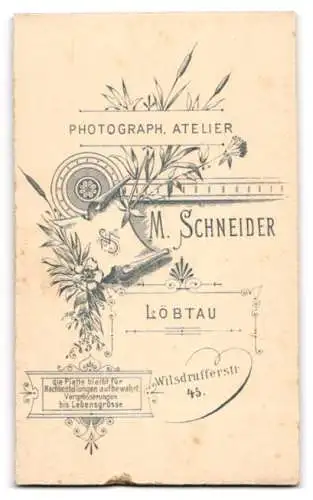 Fotografie M. Schneider, Löbtau, Wilsdrufferstrasse 45, Porträt eines sitzenden Kleinkindes