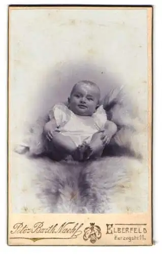 Fotografie Peter Barth Nachf., Elberfeld, Herzogstr. 11, Porträt eines Babys auf einem Pelz