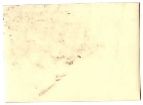 Fotografie Inneneinrichtung, Rattan-Möbel, verschiedene Tische