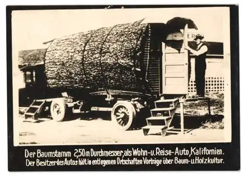 Fotografie Kalifornien, Baumstamm eines Mammuthbaumes zum Wohnmobil umgebaut