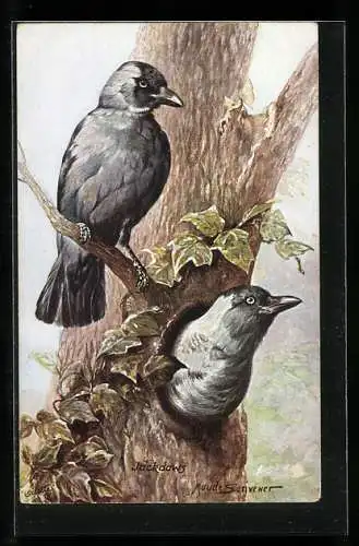 Künstler-AK Zwei Krähen in einem Baum