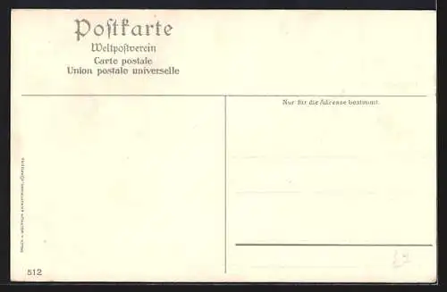 Lithographie Berlin-Tiergarten, Ansicht vom Reichstags-Gebäude