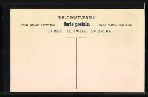 AK Schweizer Briefmarken und Wappen