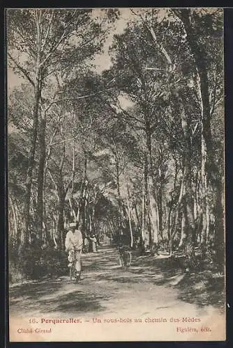 AK Porquerolles, Un Sous-bois au hemin des Mèdes