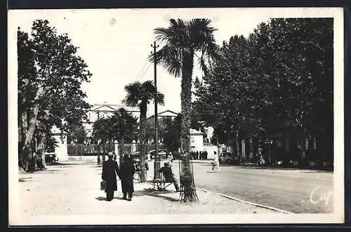 AK Draguignan, Promenade ombragée avec palmiers et passants