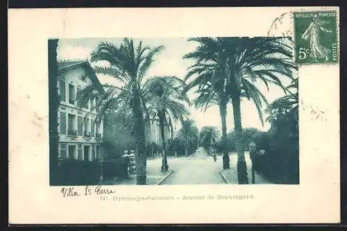 AK Hyères-les-Palmiers, Avenue de Beauregard